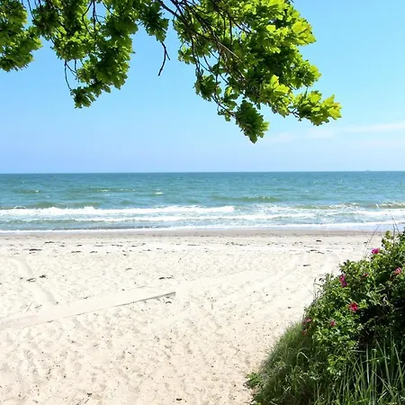 Strandnahe Rex Rugia: Seaside Retreat With Terrace And Access * Lobbe